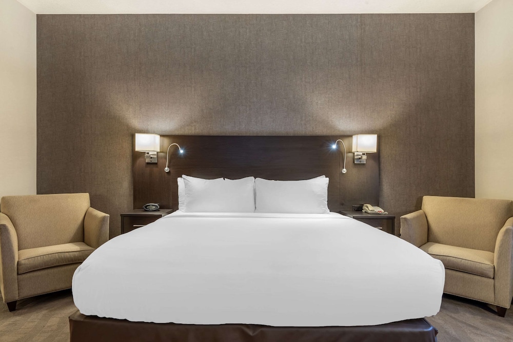 1 King Bed, Mobility and Hearing Accessible, Non Smoking photo 3