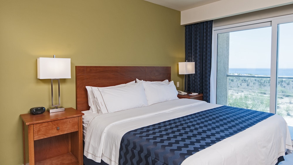 Suite, 1 King Bed