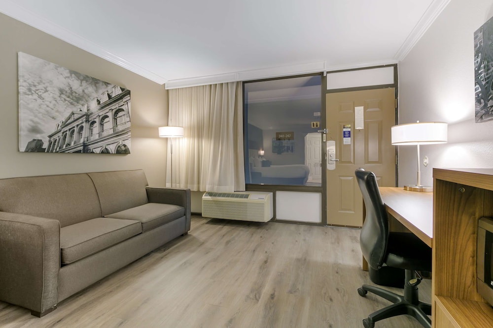 Standard Room, 1 King Bed, Non Smoking, Refrigerator & Microwave (with Sofabed) - Photo 2