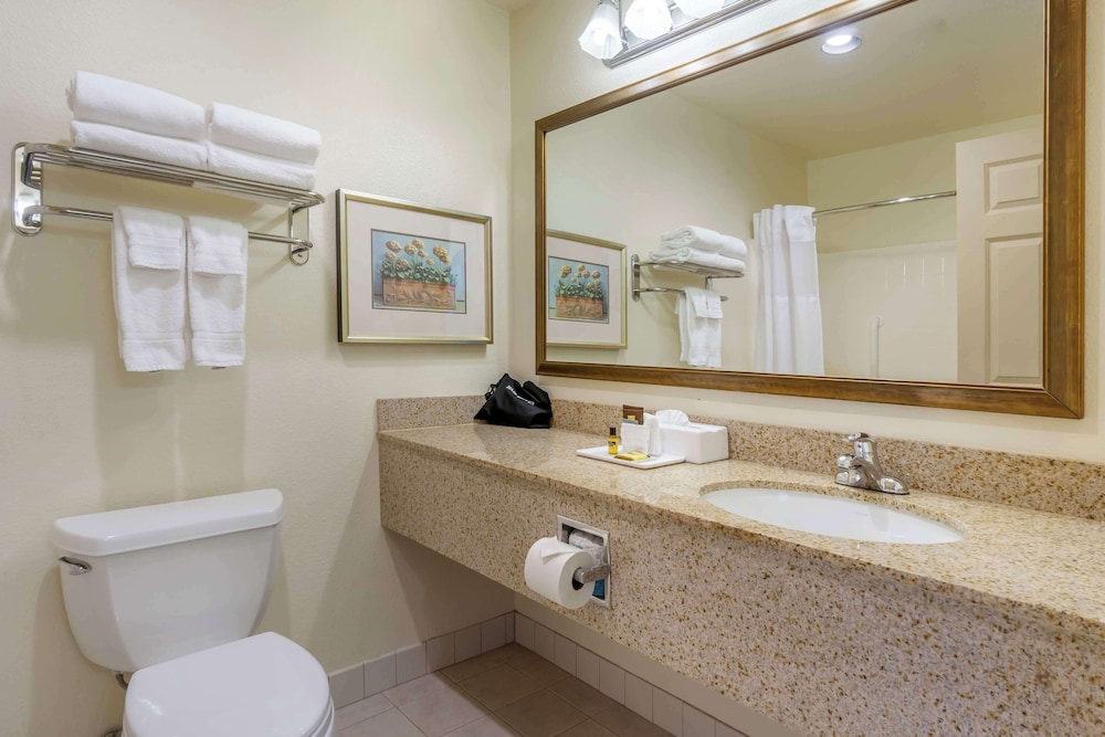 Junior Suite, 1 Queen Bed, Non Smoking, Refrigerator & Microwave (with Sofabed) - Photo 5