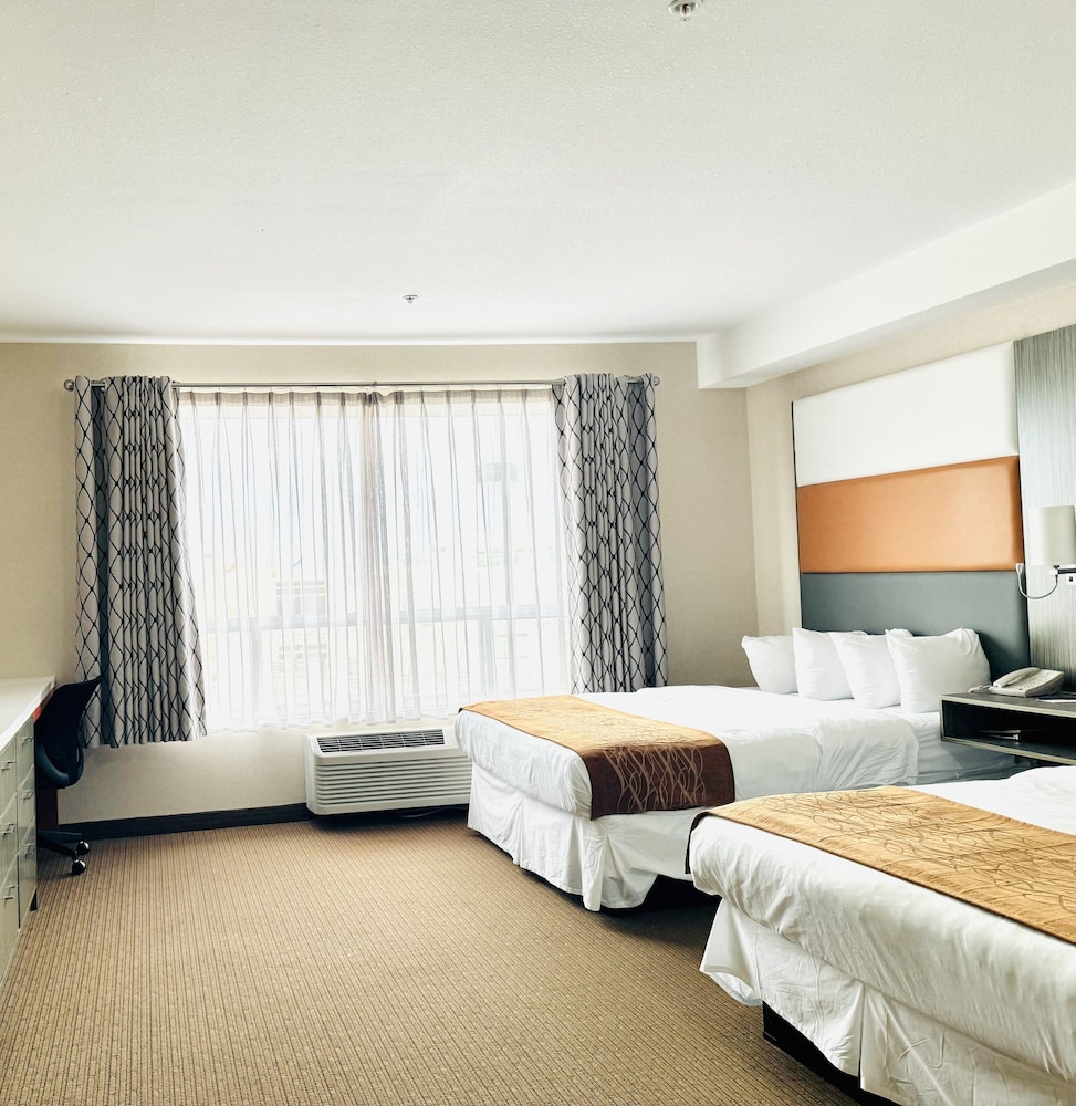 Kitchenette Suite With Two Beds And A Separate Living Area photo 1