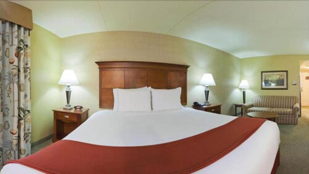 Suite, 1 King Bed, Accessible, Non Smoking - Photo 3