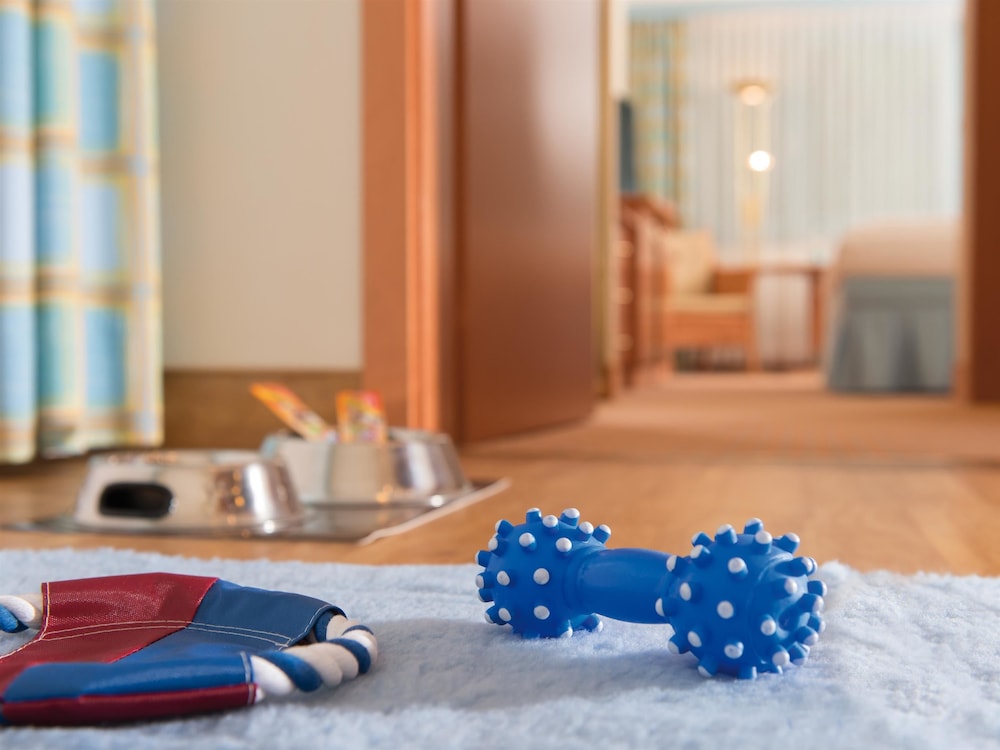 Double Room (dog friendly) - Photo 4