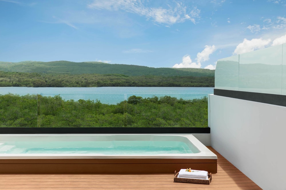 Junior Suite with Plunge Pool Garden View
