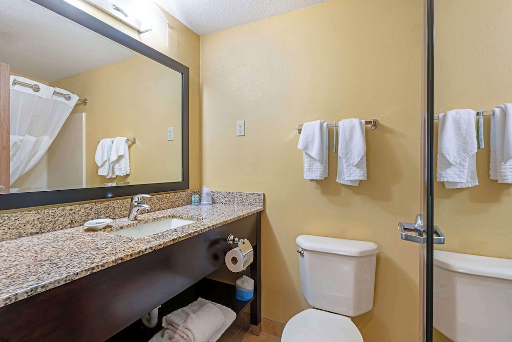 Standard Room, 1 King Bed, Accessible, Refrigerator & Microwave - Photo 4