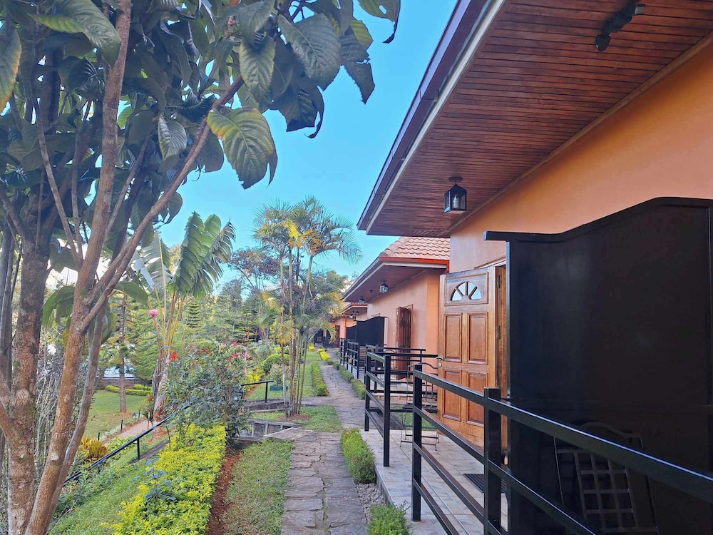 Standard Bungalow photo 3