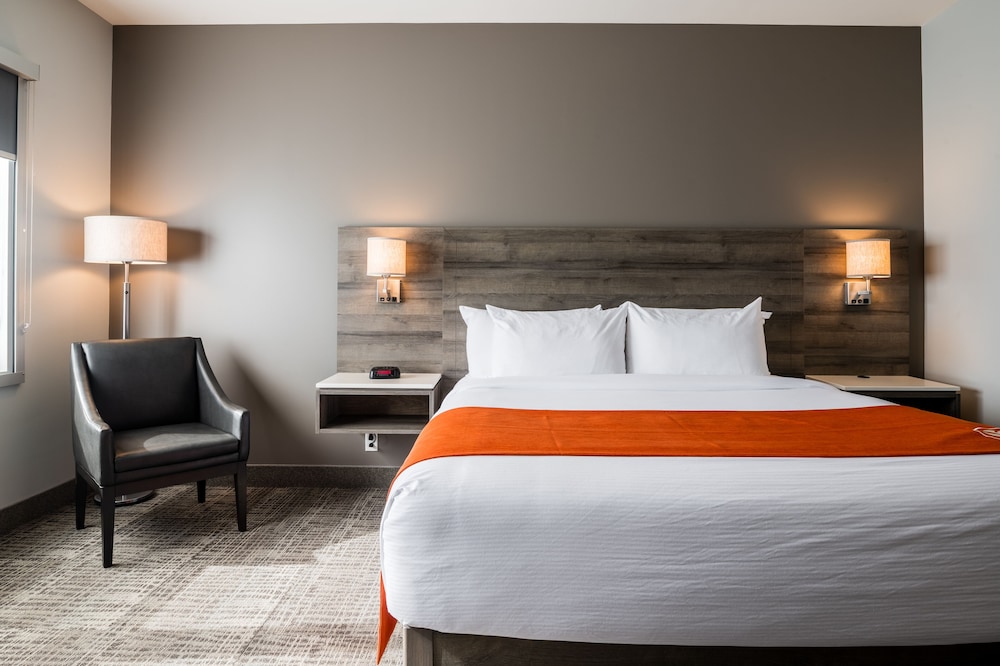 Suite, 1 King Bed, Non Smoking photo 2