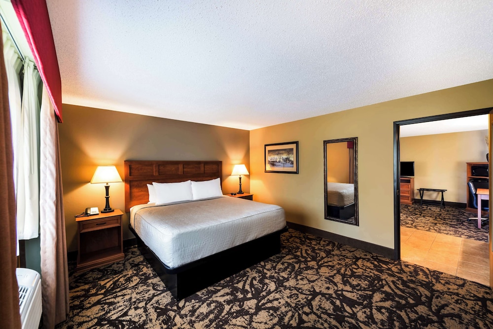 Suite, 1 King Bed, Non Smoking, Refrigerator & Microwave (with Sofabed) photo 1
