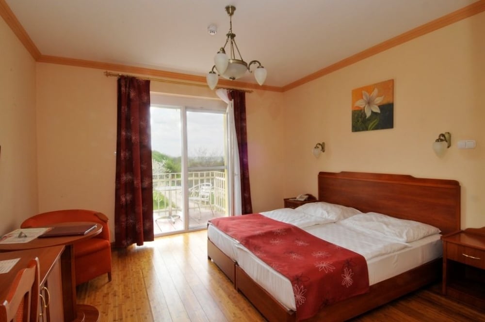 Superior Double Room photo 1