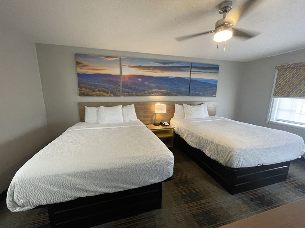 Double Room, 2 Double Beds - Photo 2
