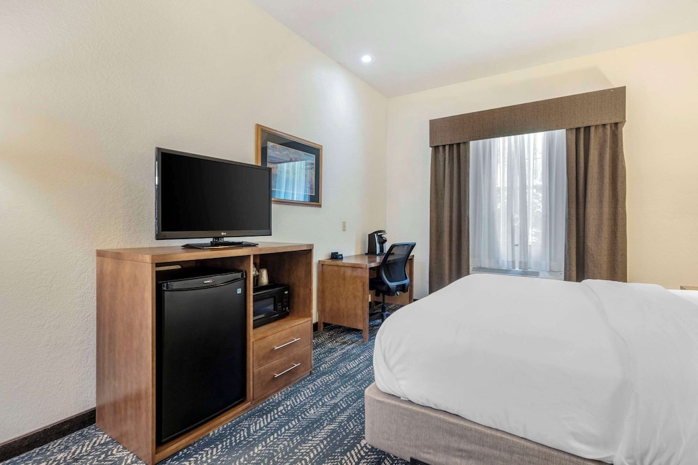 Room, 1 King Bed, Accessible - Photo 4