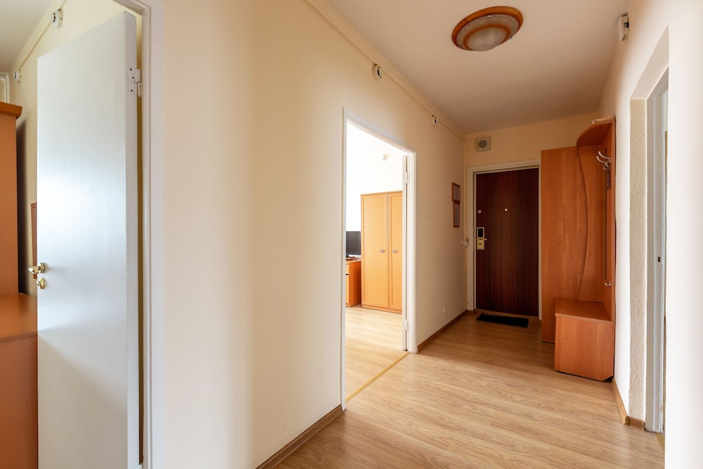 Apartment, 3 Bedrooms (Volga) photo 3