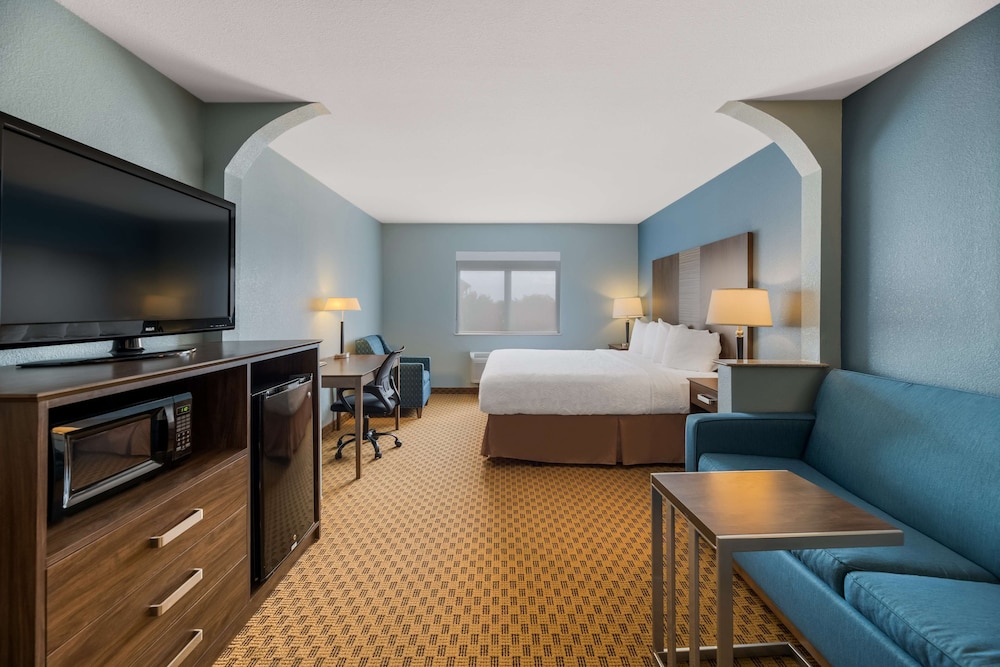 Suite, 1 King Bed, Non Smoking, Refrigerator & Microwave (with Sofabed)
