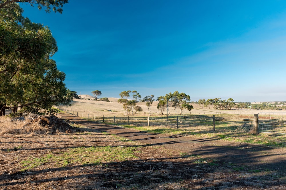 Monash Cottage photo 3