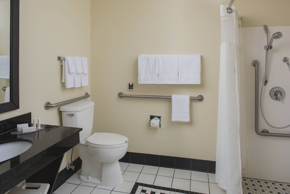 Room, 1 King Bed (Mobility/Hearing Access, Roll-In Shwr) photo 2