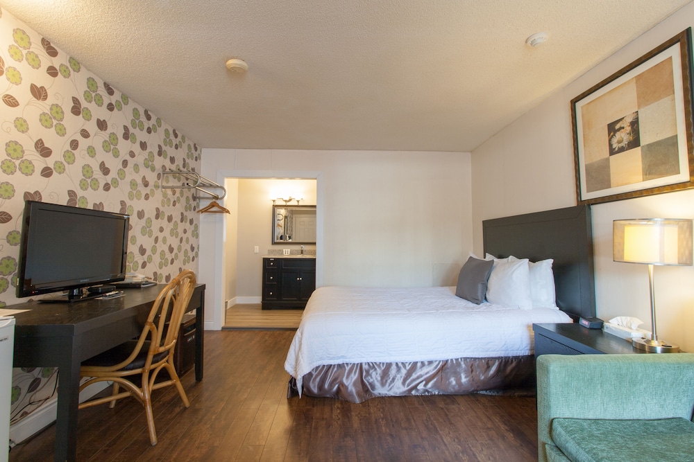 Room, 1 King Bed with Sofa bed photo 3