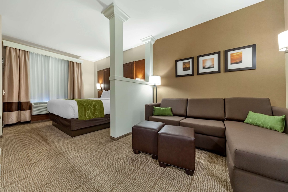 Suite, 1 King Bed with Sofa bed, Accessible, Non Smoking - Photo 1