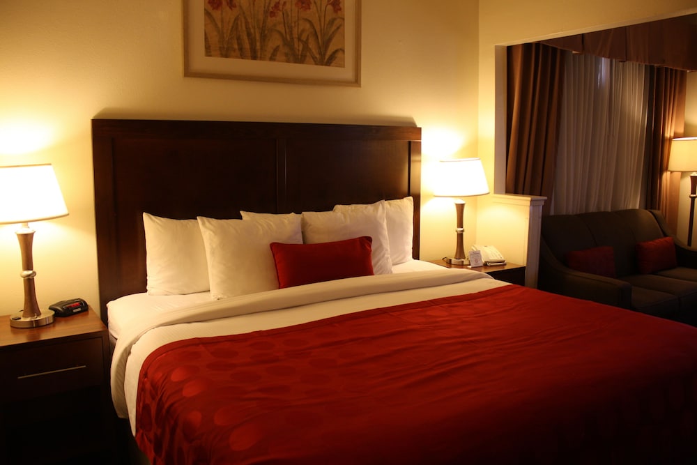 Suite, 1 Bedroom, Accessible, Non Smoking - Photo 3