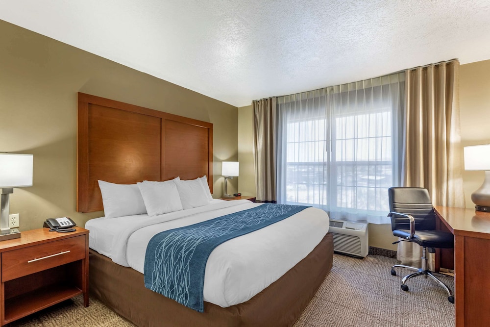 Suite, 1 King Bed with Sofa bed, Non Smoking - Photo 1