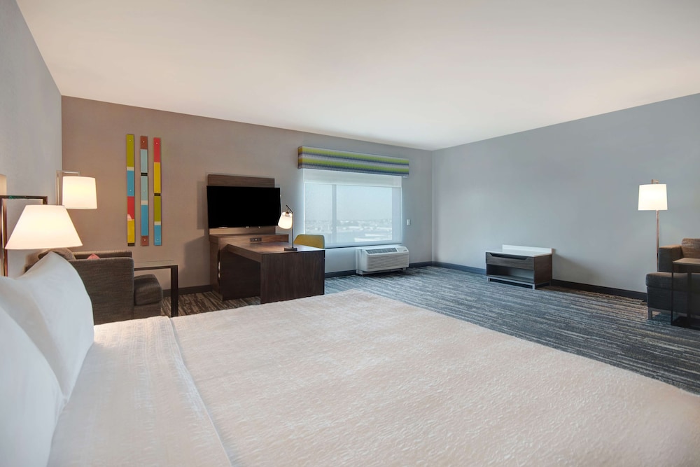Studio, 1 King Bed (Mobility & Hearing, Roll-in Shower) - Photo 3