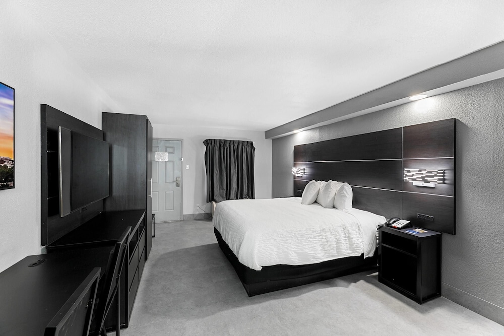 Suite, 1 King Bed, Non Smoking - Photo 2