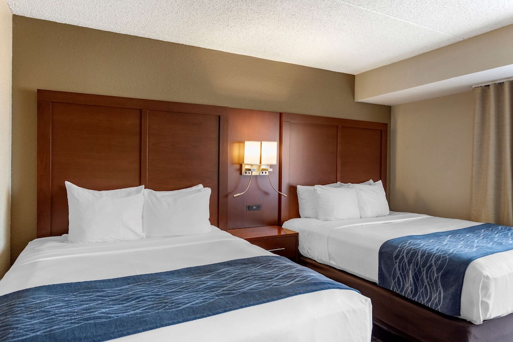 Efficiency, Suite, Multiple Beds, Non Smoking - Photo 9
