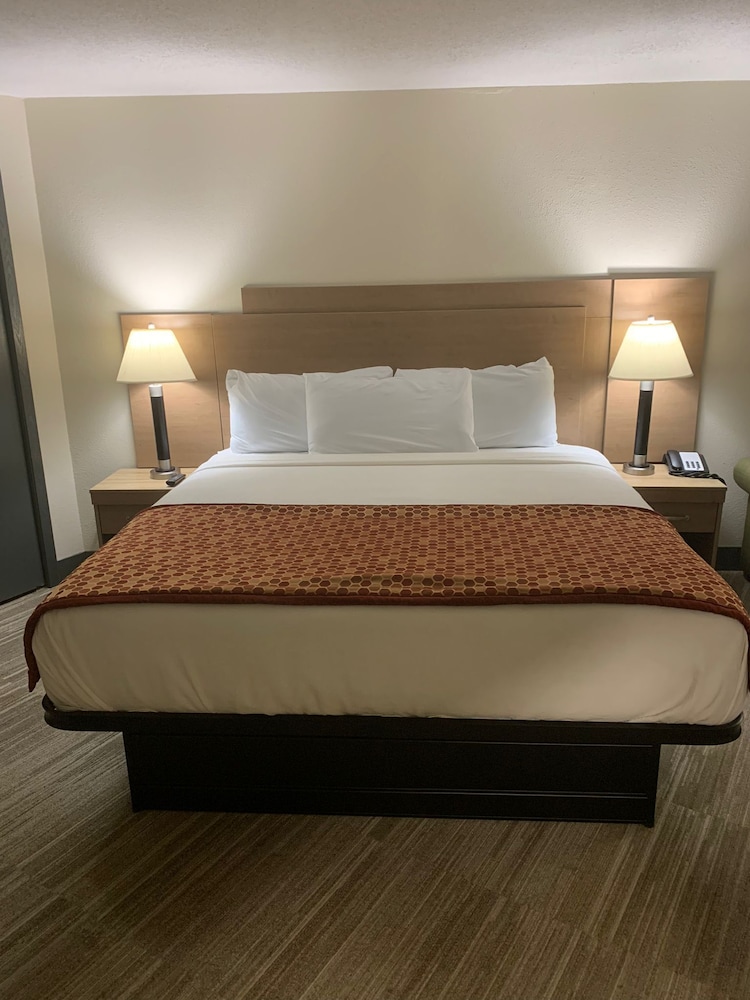 Exclusive Room