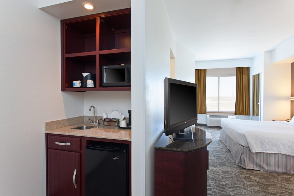 Studio, Multiple Beds - Photo 3