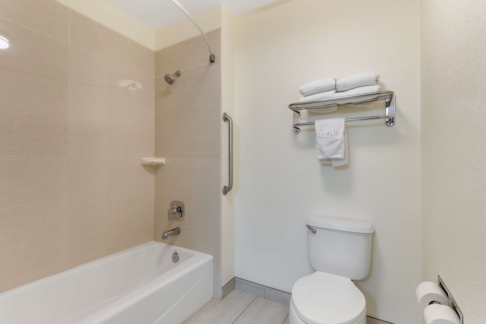 Suite, 1 King Bed, Non Smoking, Jetted Tub (with Sofabed) - Photo 5
