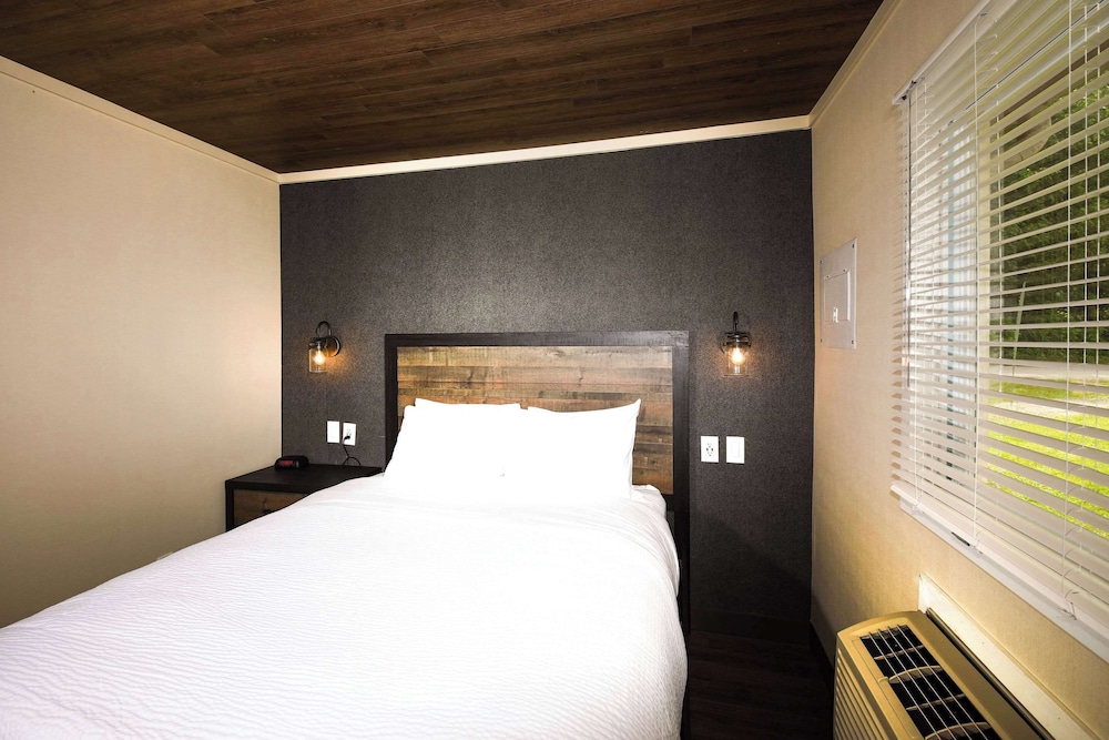 Suite, Multiple Beds, Non Smoking (Efficiency) photo 1