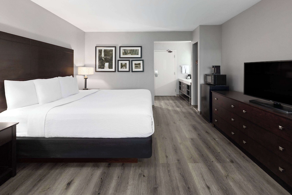 Deluxe Room, 1 King Bed, Non Smoking - Photo 5
