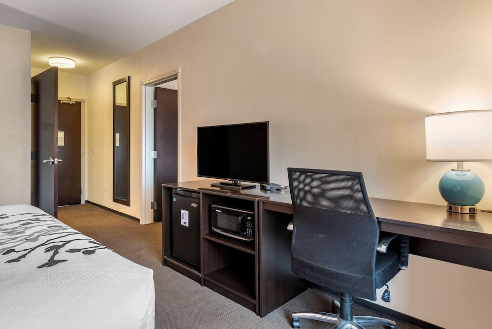 Suite, Multiple Beds, Accessible, Non Smoking photo 3