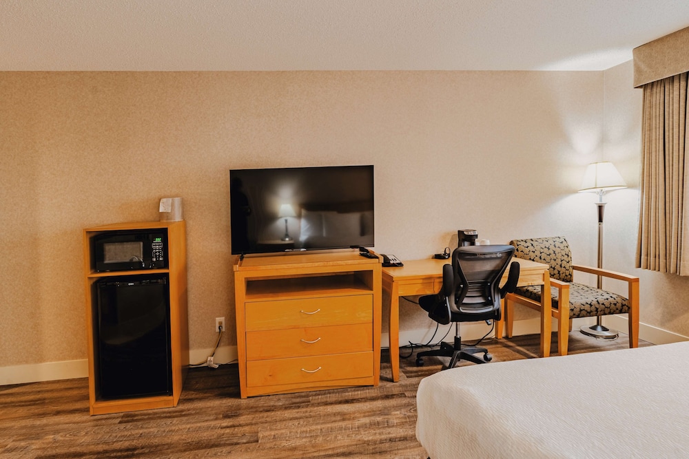 Suite, 1 King Bed, Non Smoking, Jetted Tub - Photo 3