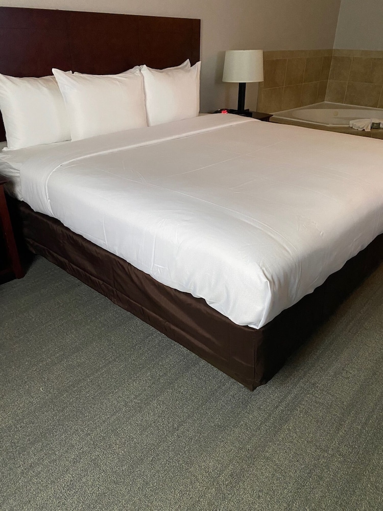 Suite, Multiple Beds, Non Smoking - Photo 4