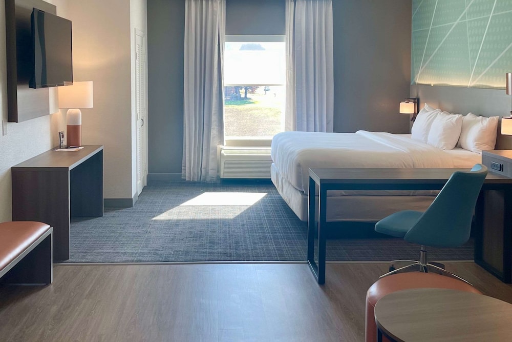One King bed, non smoking, extended suite - Photo 8