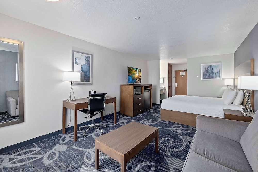 Standard Room, 1 King Bed, Non Smoking, Refrigerator & Microwave (with Sofabed) photo 3