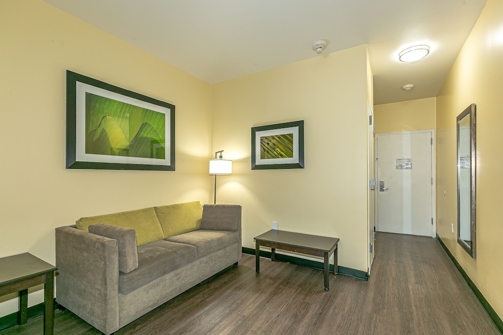 Standard Studio Suite, 1 King Bed with Sofa bed, Accessible photo 3