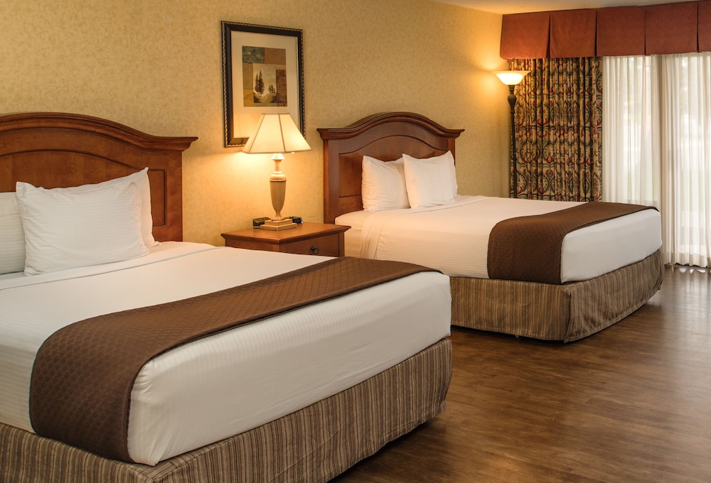 Premium Room, 2 Queen Beds, Pool View photo 2