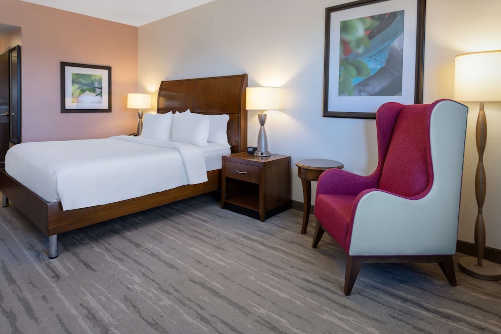 Room, 1 Kind Bed, Hearing Accessible photo 3