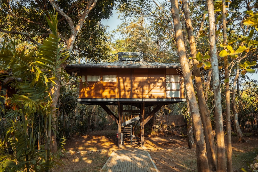 Tree House (C) photo 2