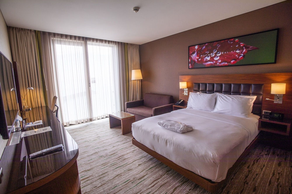 Family Room, 1 Queen Bed