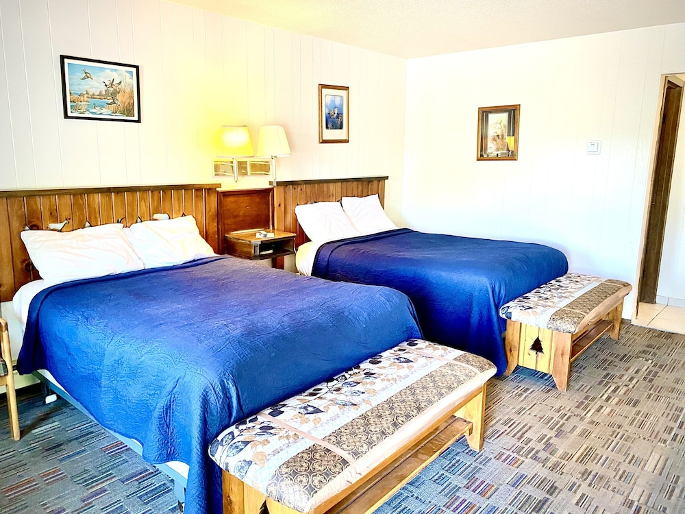 Room, Multiple Beds photo 1