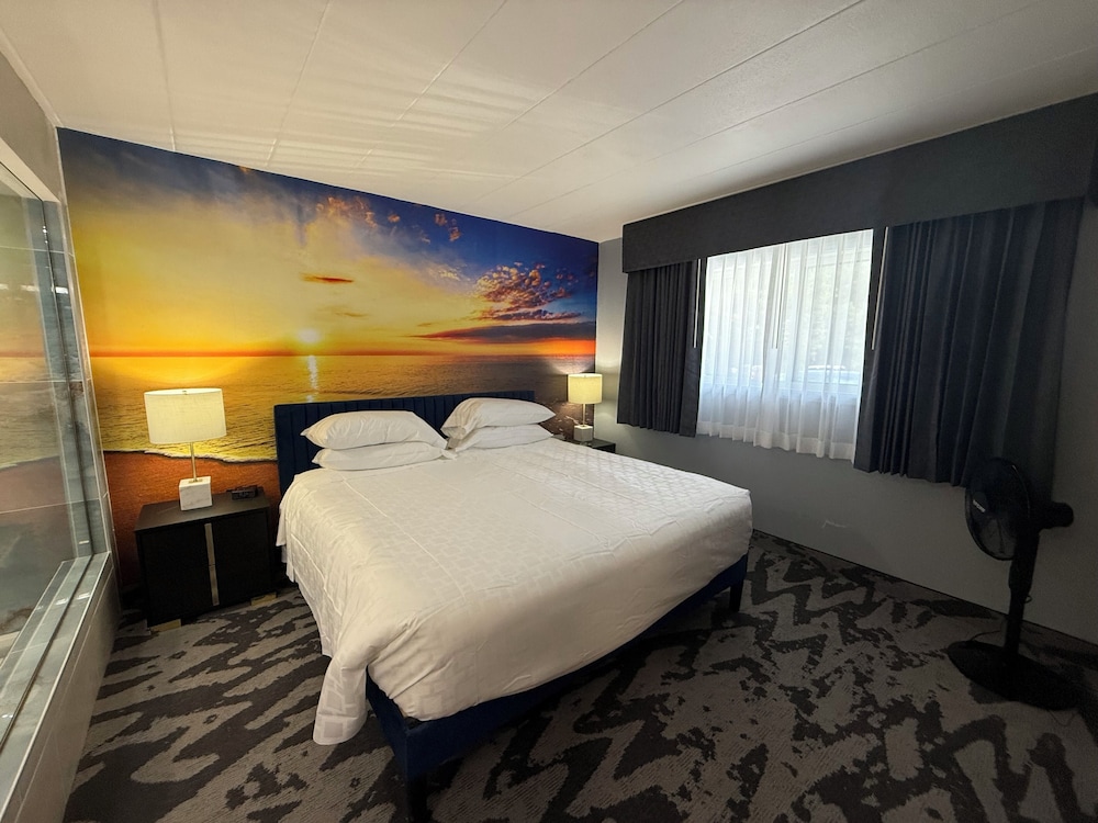 Deluxe Single Room