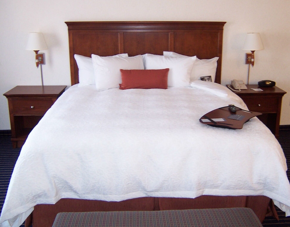 Room, 1 King Bed, Accessible (Hearing) - Photo 3