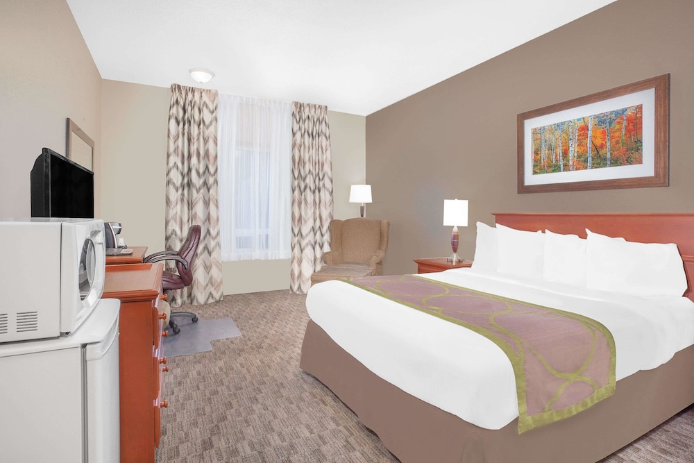 Room, Accessible - Photo 1