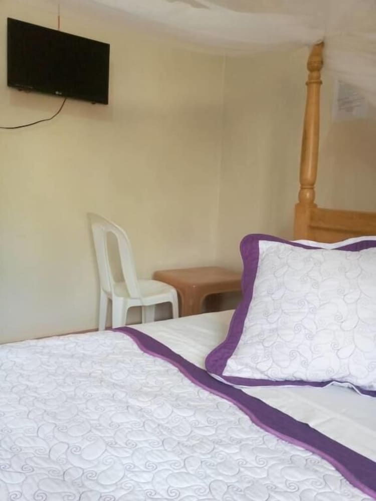 Room, 1 King Bed