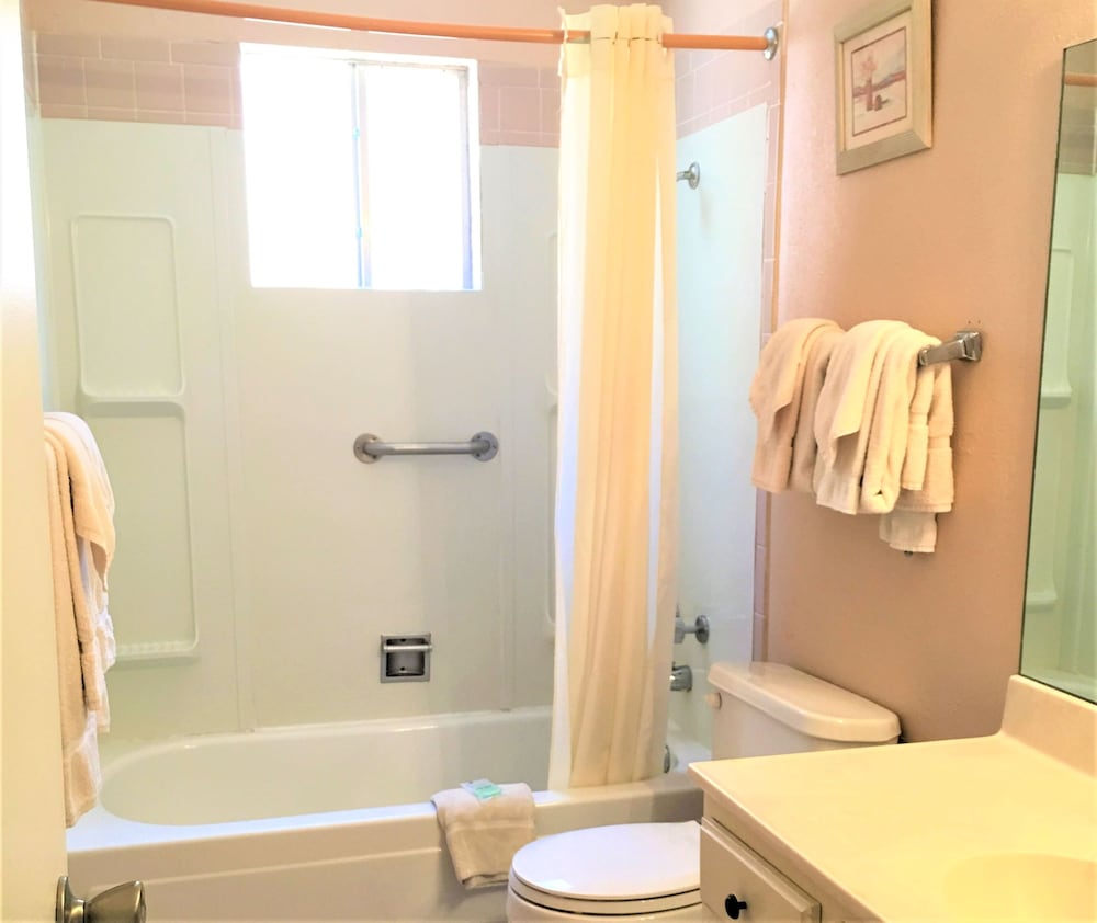 Basic Condo, 1 Bedroom photo 2