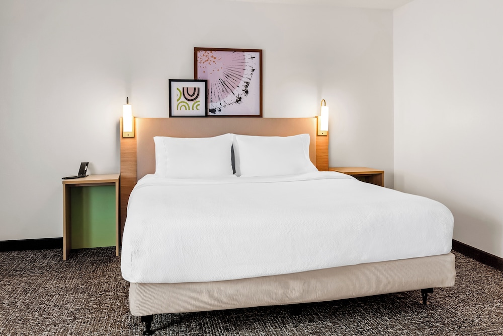 Room, 1 King Bed with Sofa bed, Accessible, Bathtub (Mobility) photo 1