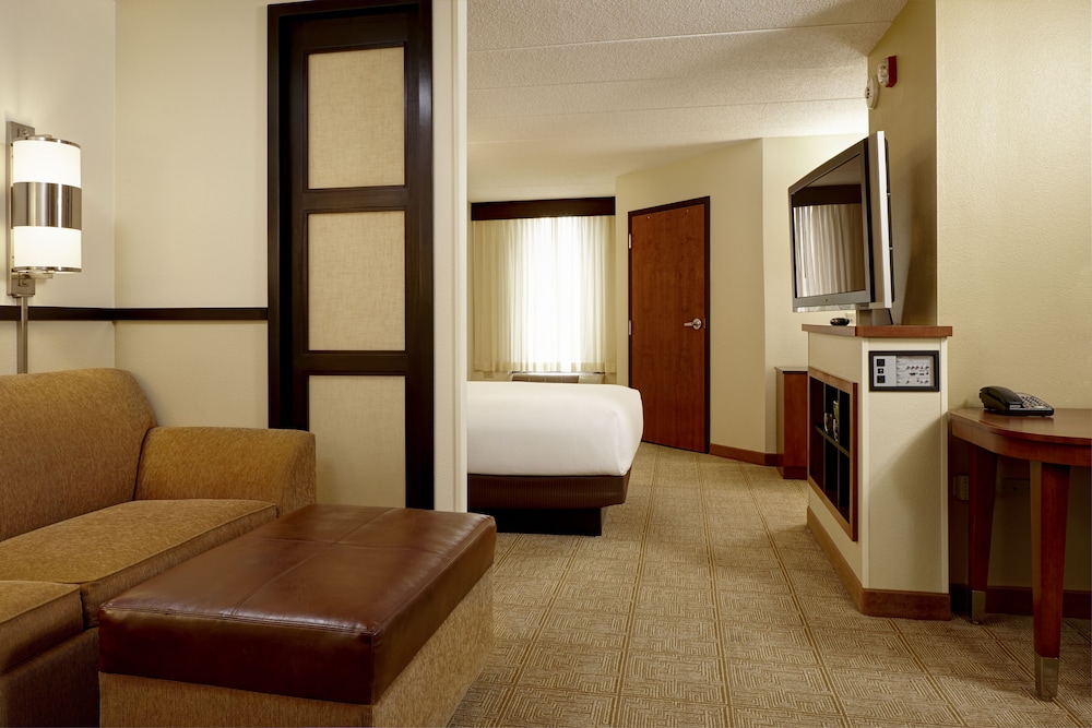 Classic Studio Suite, 1 King Bed with Sofa bed - Photo 1