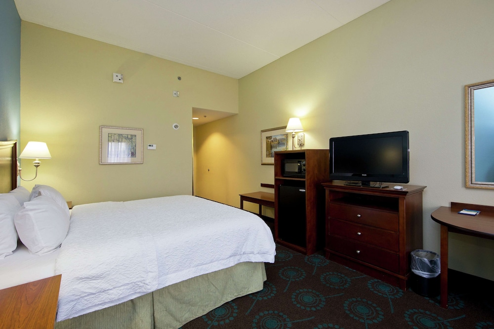 Room, 1 King Bed, Accessible, Bathtub - Photo 6